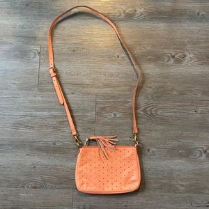 Small Fossil Bag